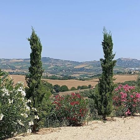 Appartamento Olivo Collecorvino Esterno foto