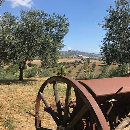 Appartamento Olivo Collecorvino Esterno foto