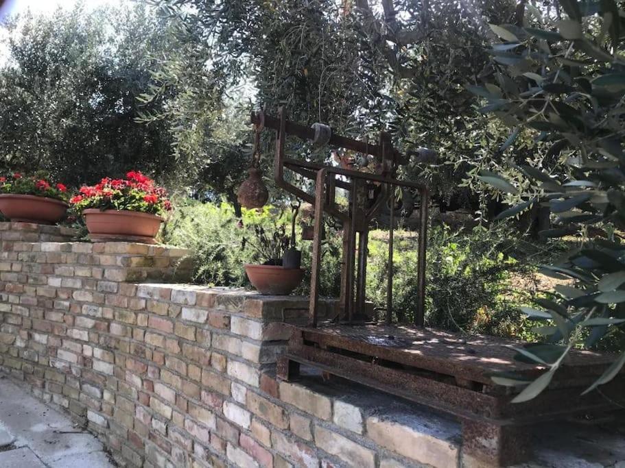 Appartamento Olivo Collecorvino Esterno foto