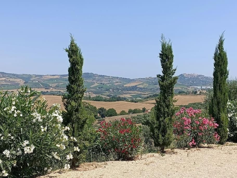 Appartamento Olivo Collecorvino Esterno foto