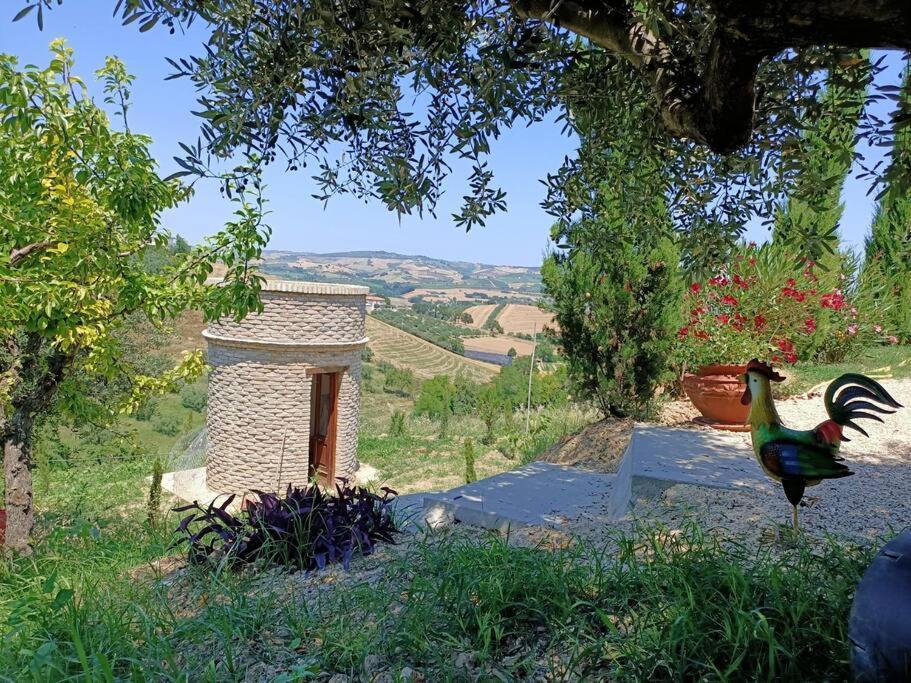 Appartamento Olivo Collecorvino Esterno foto