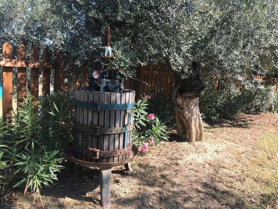 Appartamento Olivo Collecorvino Esterno foto